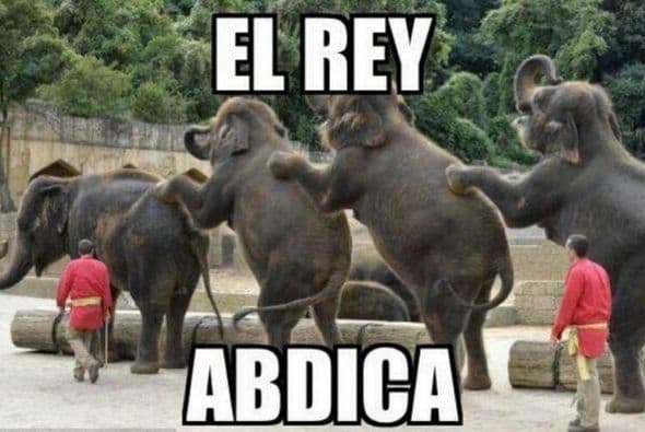 Los elefantes no han quedado exentos de las bromas, a raíz de la conocida afición del Rey por la caza. (Imagen tomada de las redes sociales)