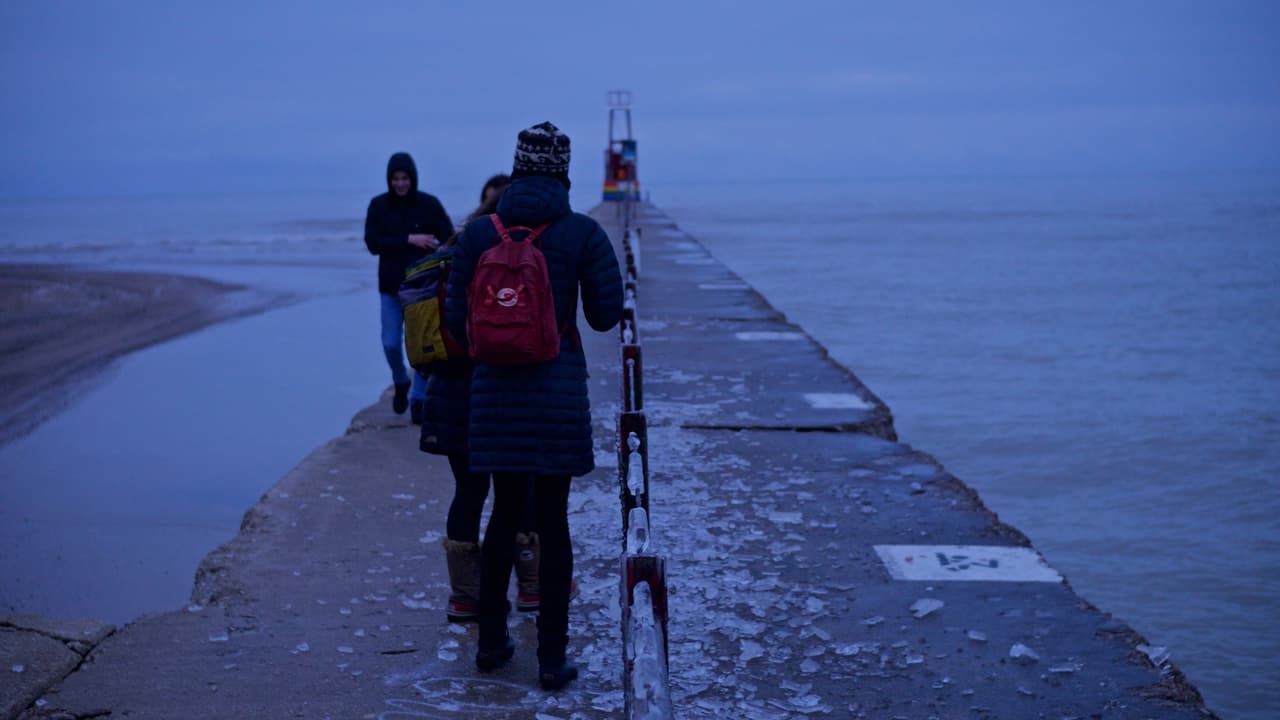 Residentes de Chicago aprovecharon que se tranquilizó el tiempo para hacer recorridos por el área del Lago Michigan, algunos se impresionaban por lo que dejó la tormenta.