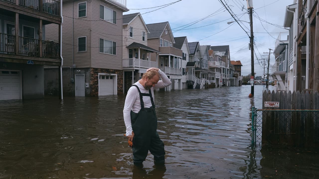 Un tiburón por las calles y los restos de un naufragio: Las imágenes más impactantes de la mortal tormenta nor'easter