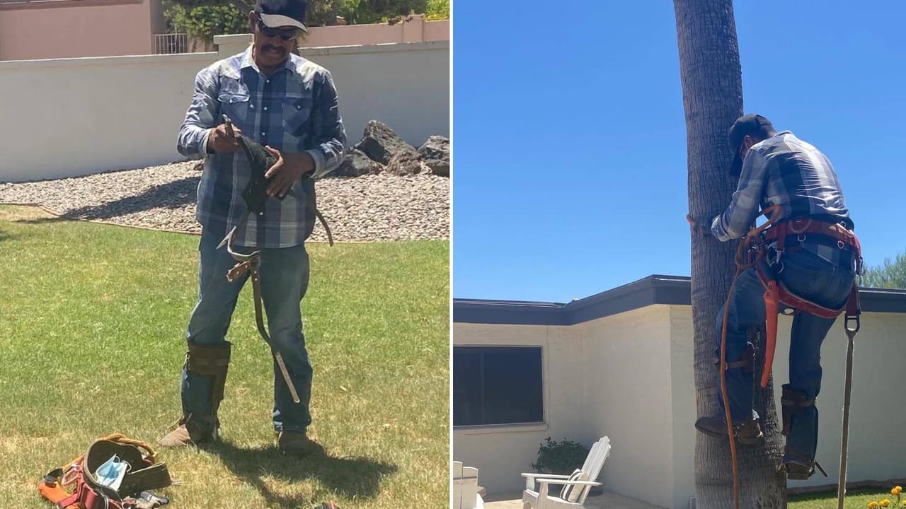 “¿Por qué te nos fuiste?”: Jardinero mexicano Flavio Sesmas murió mientras podaba una palma en Tempe