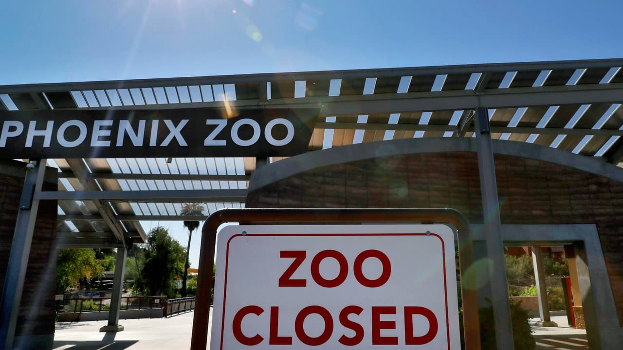 El Zoológico de Phoenix cerró la semana con amenaza de bomba: Así retomó sus operaciones