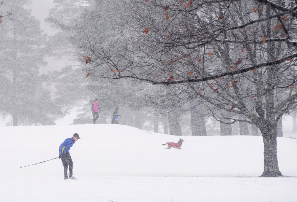 La nieve seguirá cayendo en las próxima horas, sobre todo en las zonas cercanas al Lago Ontario y las montañas de Vermont y New Hamspshire. La imagen, tomada el domingo, muestra a una persona esquiando por un club de golf en Williamstown, Massachusetts.