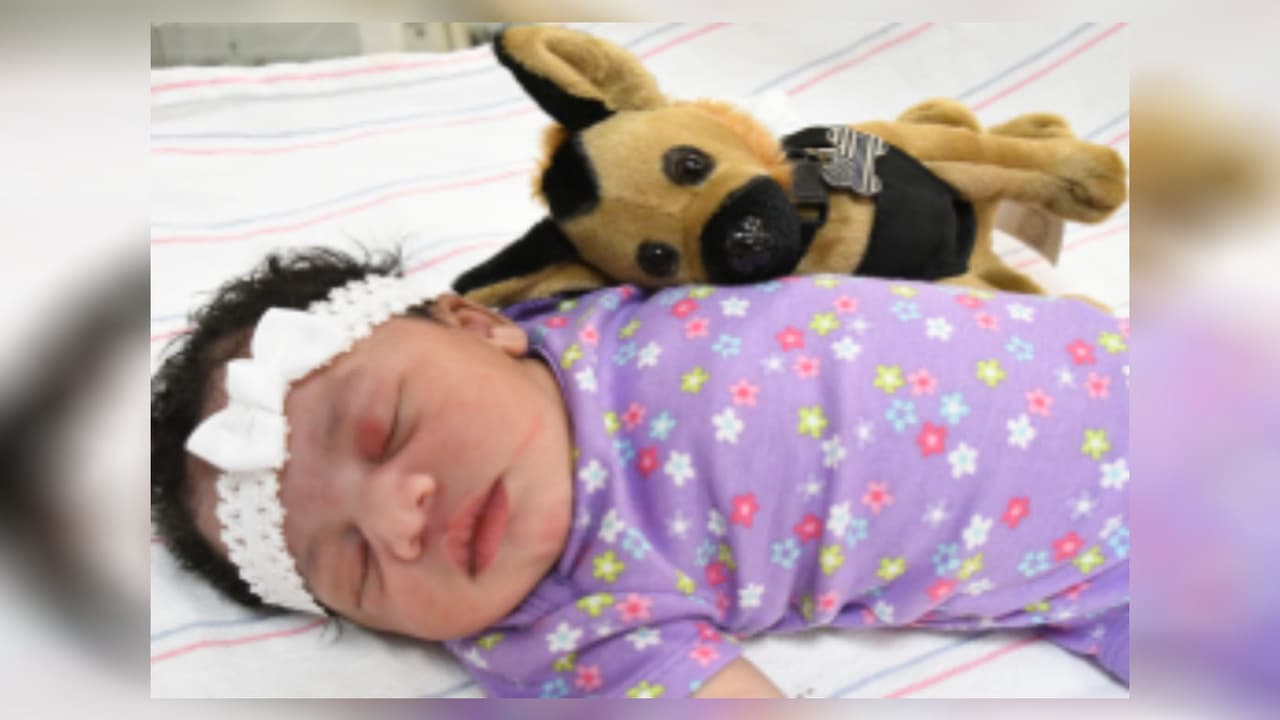 Decenas de personas quieren cuidar a la bebé abandonada en un carrito de compras en Arizona