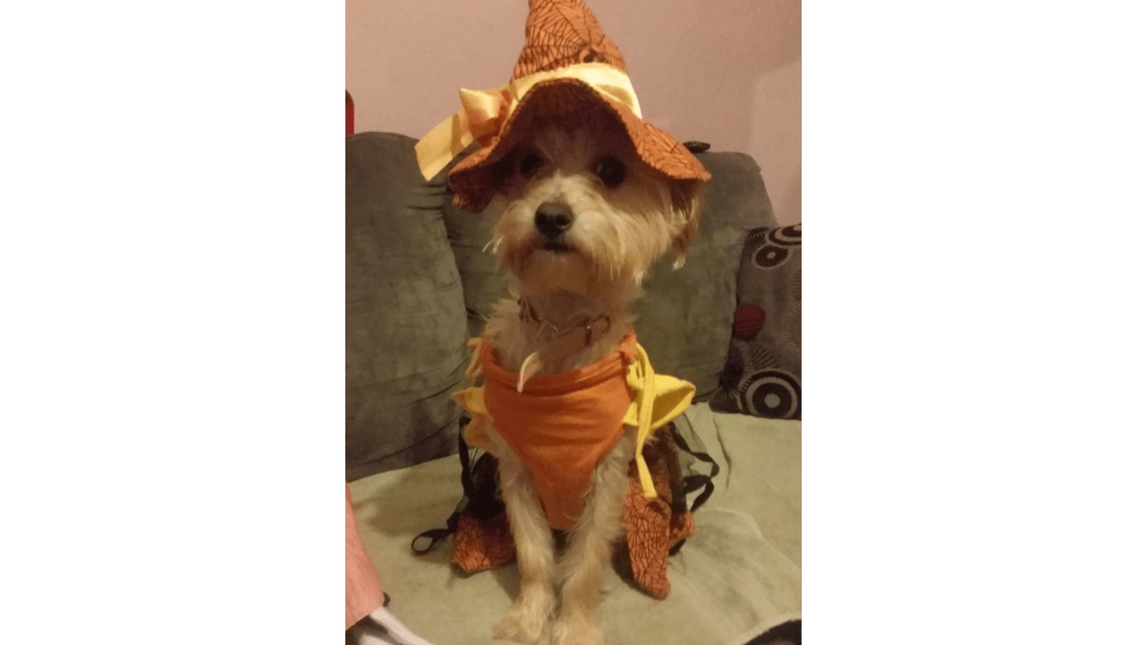 "Daysi de la familia Gaytan de salvatierra Gto.es una bebé mas. Saludos".