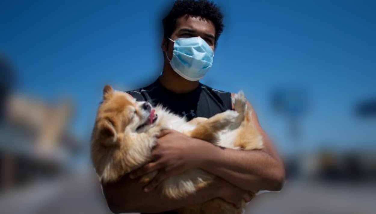 10 casos en Los Ángeles de perros contagiados con misteriosa infección respiratoria