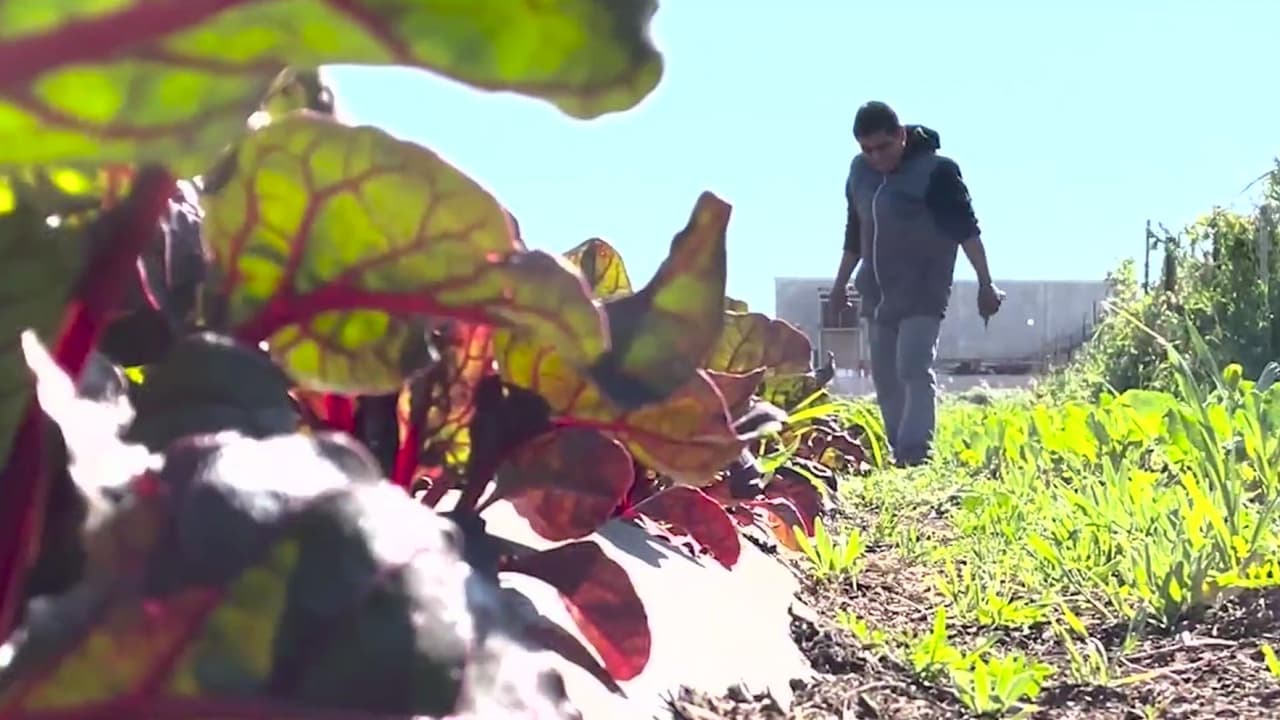 El programa SEED apoya a emprendedores hispanos, sin importar su estatus migratorio