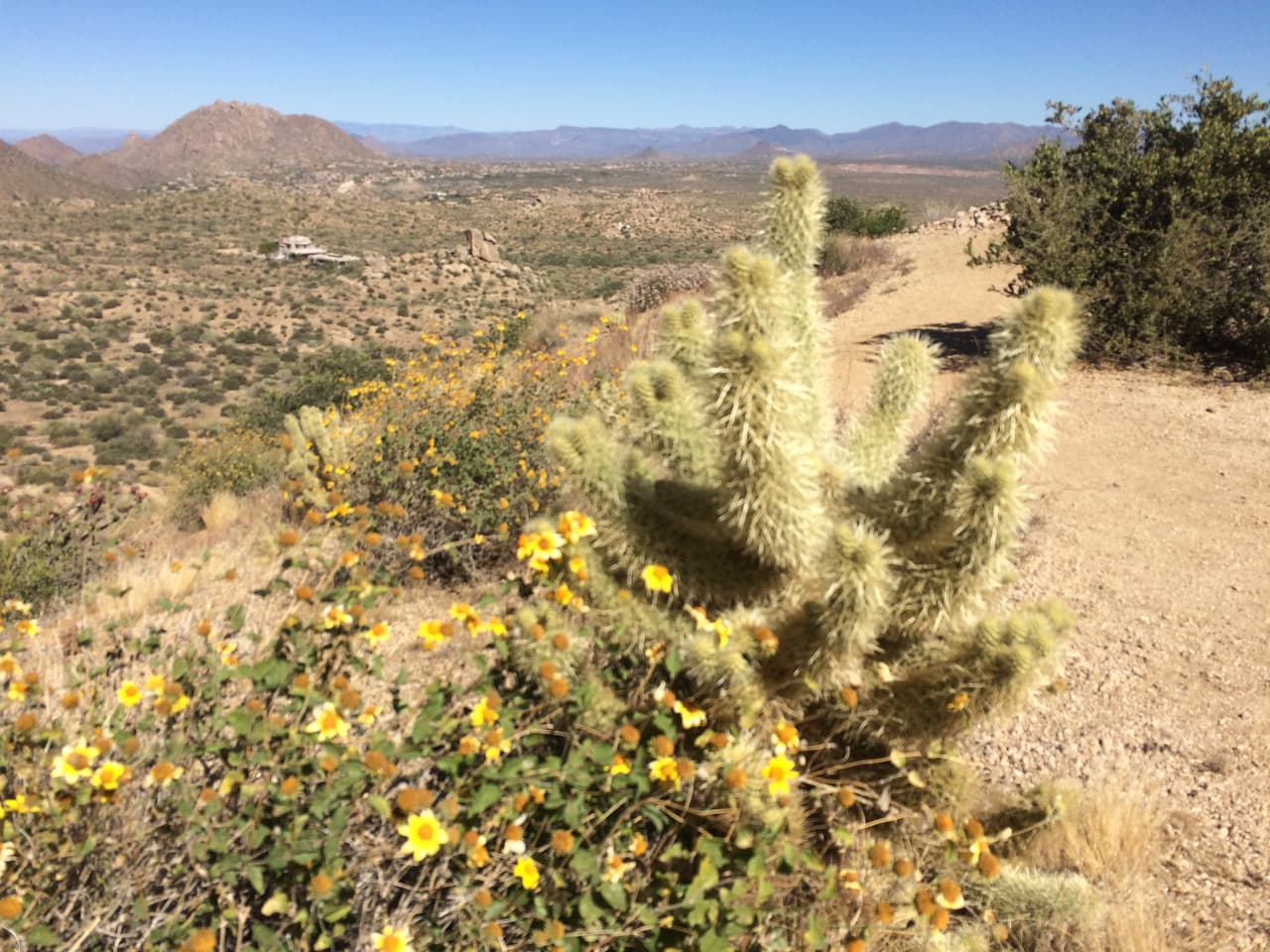 El camino hasta el "Pulgar de Tom" no es tan largo ni tan difícil como cuando se toma el sendero que sale desde Windgate Trail, sin embargo la dificultad es moderada.