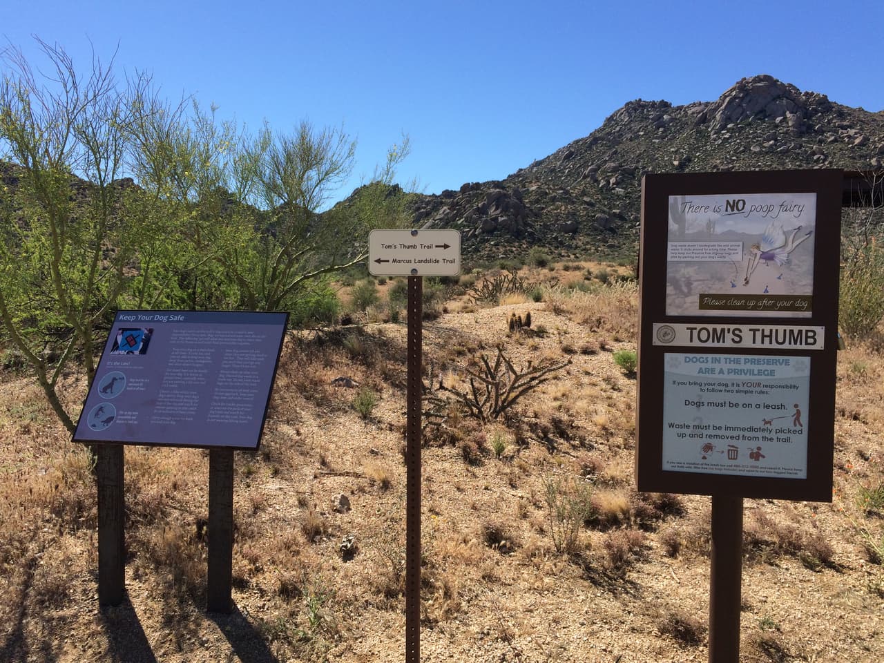 La entrada de este sendero queda en la 23015 N 128th street. Scottsdale, AZ 85255. Hay estacionamiento gratis.