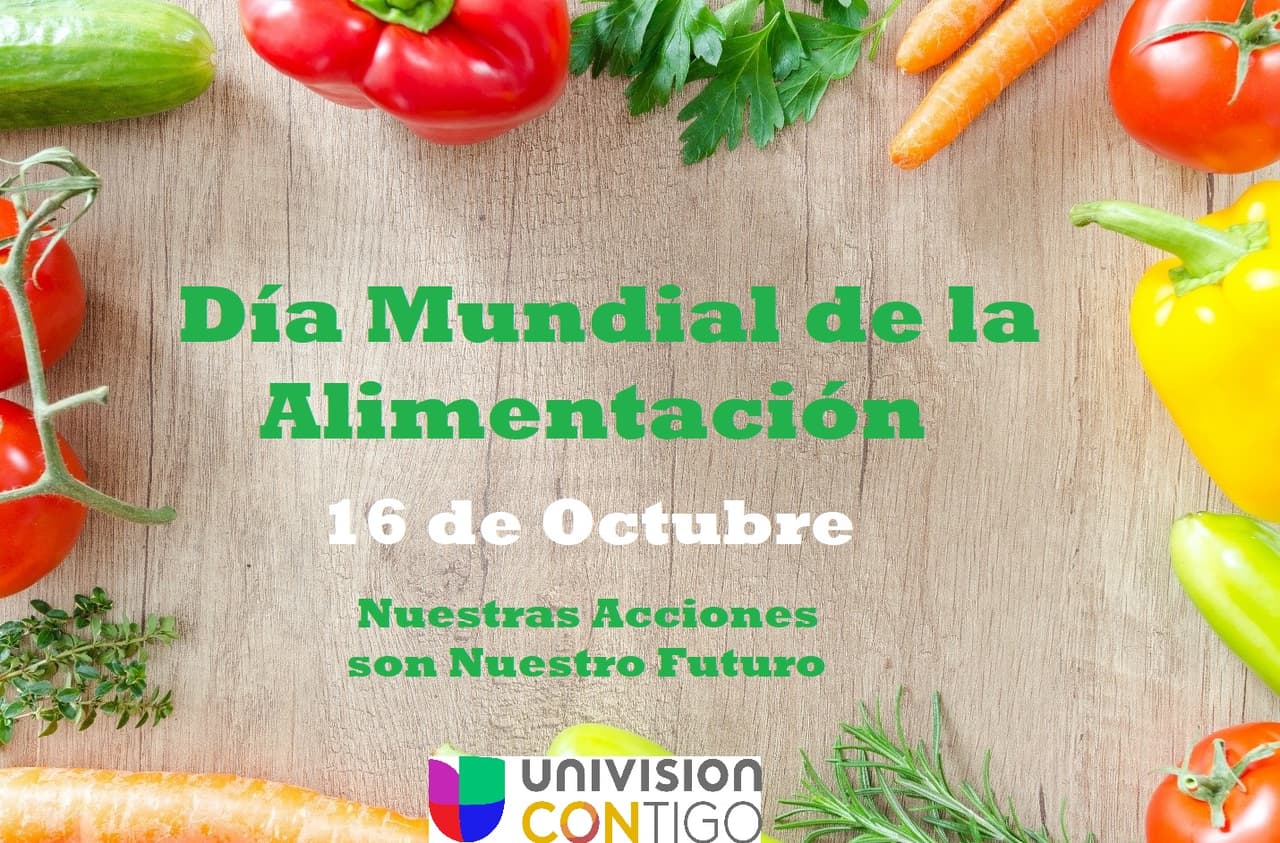 Día Mundial De La Alimentación 