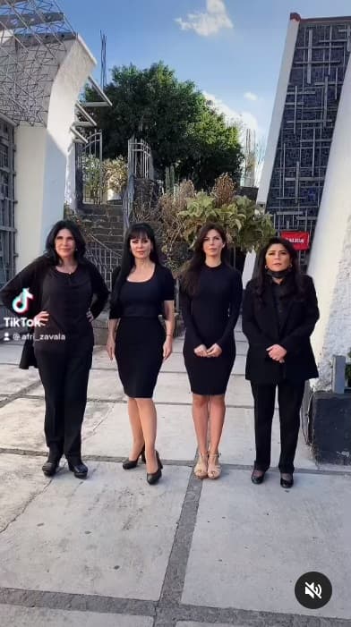 "La cuenta de TikTok me la abrió (su hijo) José Eduardo hace como tres años y no la usaba", reveló, "pero ahora que entré a la novela ('Corona de esperanza'), África me dijo 'vamos a hacer algo' y le hago el intento para aprender las nuevas redes de tecnología".
<br>