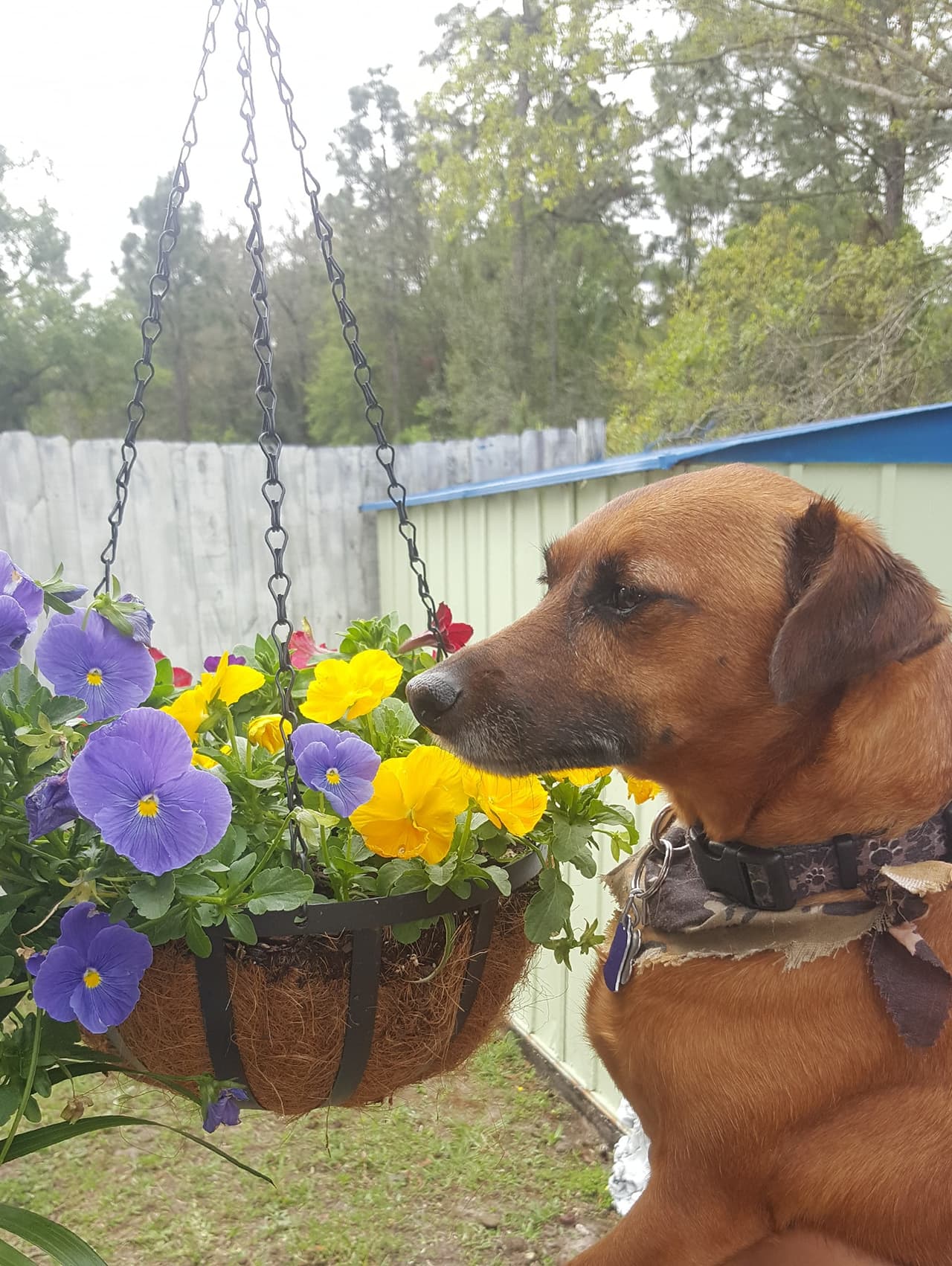 Leo fue adoptado por Olga.