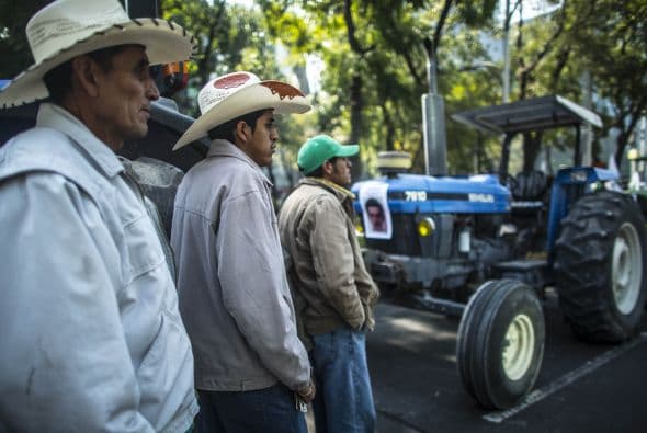 Campesinos mexicanos marcharon abordo de 43 tractores, uno por cada uno de los estudiantes desaparecidos.  