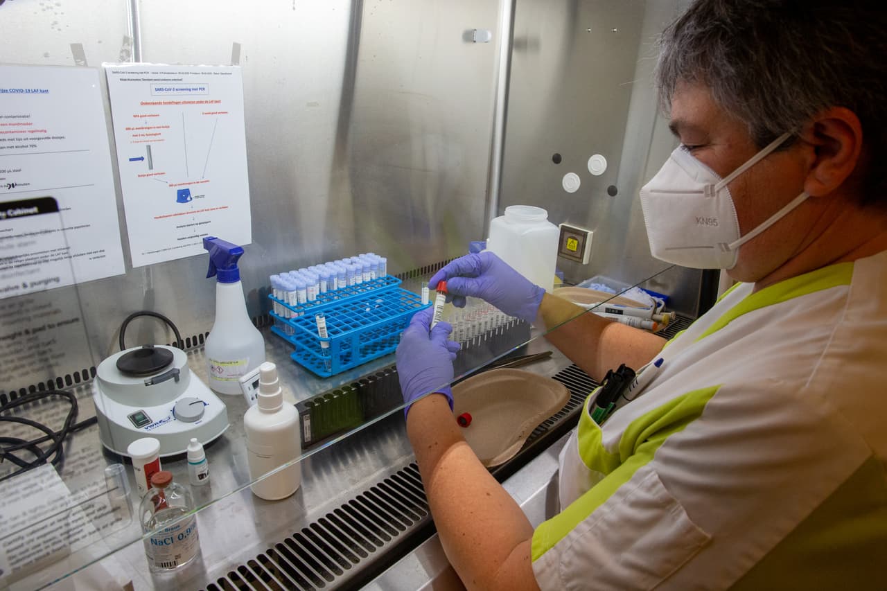 Estudio revela que los anticuerpos contra el coronavirus disminuyen rápidamente