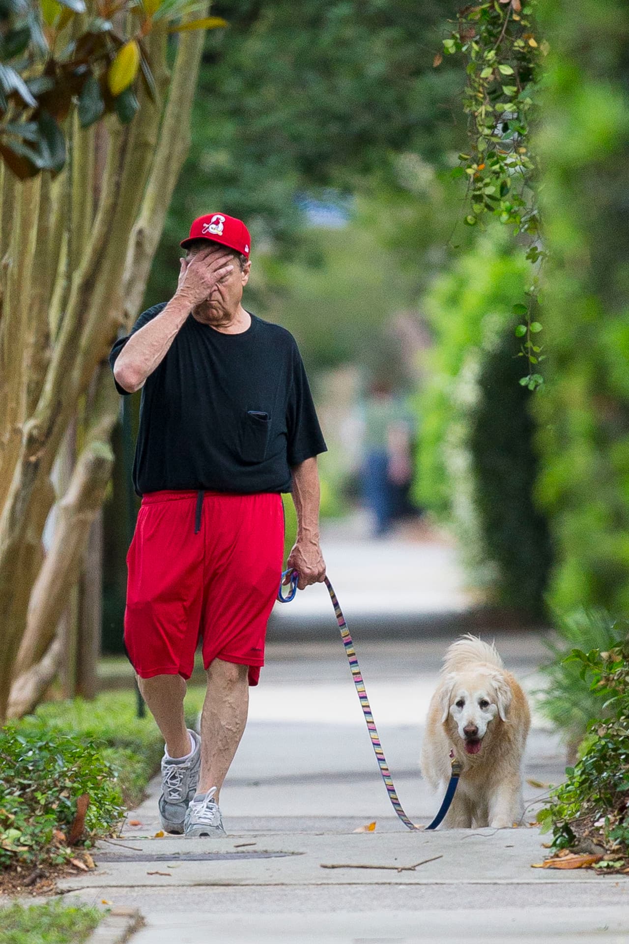 La comediante y actriz Roseanne Barr no se afectó sola. Aunque fue debido a sus comentarios racistas que la cadena de televisión
<b> <a href="http://abc.go.com/">ABC</a> </b>decidió cancelar la comedia ‘
<b>Roseanne</b>’, todo un equipo de trabajo le ha tocado sufrir la desaparición de su proyecto.