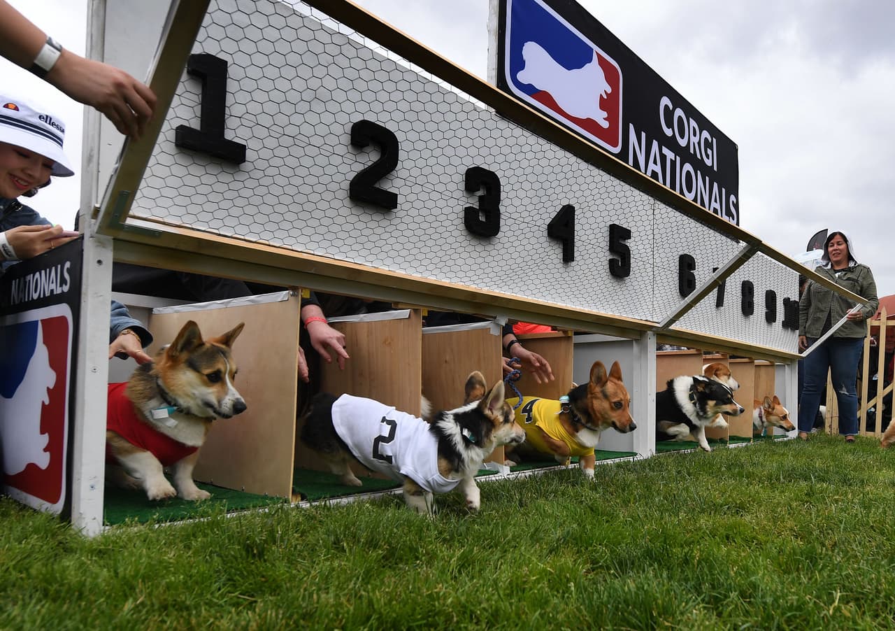 Se efectuaron varias competencias en grama y tierra.