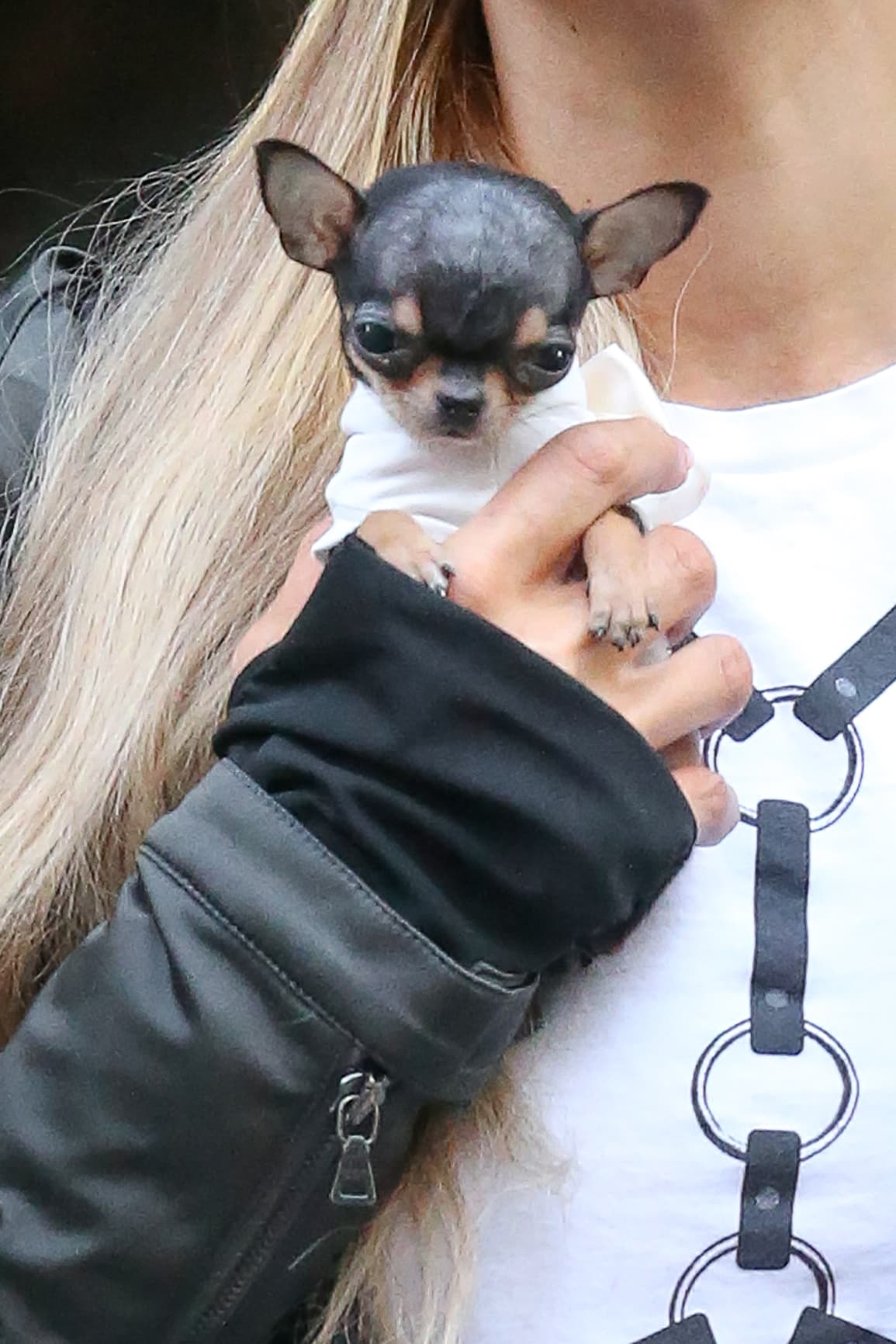 Aunque el perrito no se veía muy contento que digamos. ¿Tal vez quería que lo soltara?