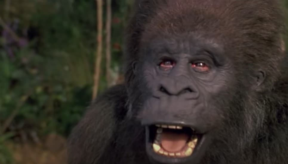 Simio en 'George of the Jungle'