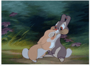 Tambor, conejo de 'Bambie'