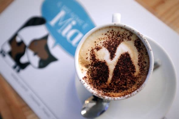 Puedes ir a MiaGola y estar rodeado de bellos mininos, mientras lees un libro y tomas un café.