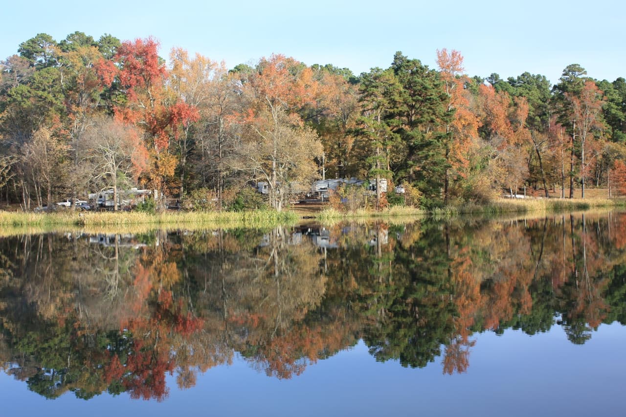 El parque cuenta con árboles de más de 100 años. Un espacio con una zona muy pintoresca en donde puedes escapar de la rutina.
<br>