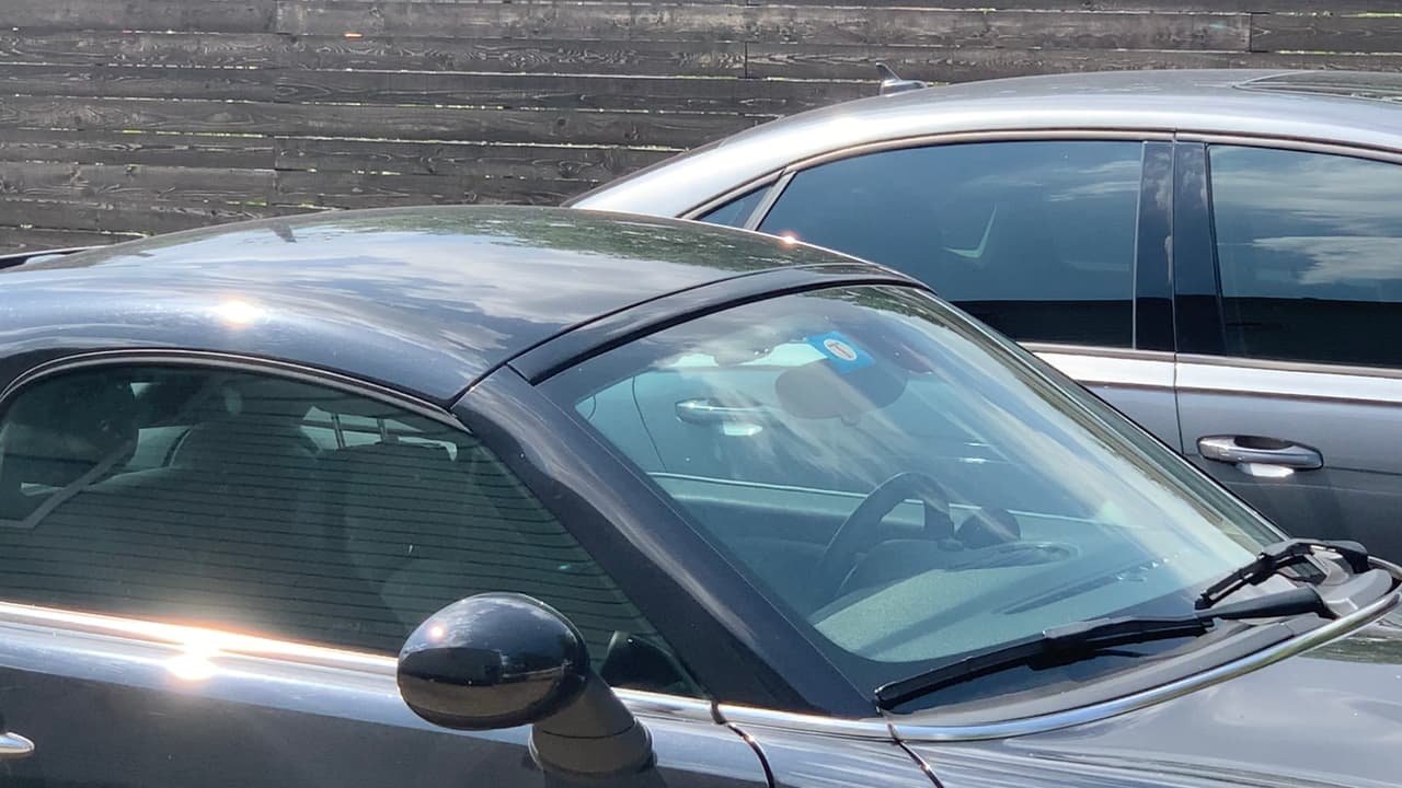 Las personas deben anotar la descripción del auto (incluido el número de placa), llamar al Departamento de Policía inmediatamente o si la situación involucra a una mascota al Servicios de cuidado de animales al 311.