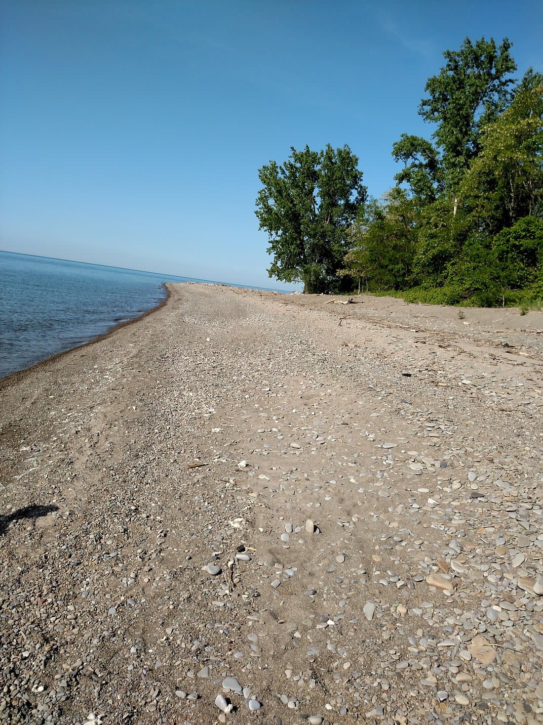 &lt;b&gt;&lt;a href=&quot;https://www.tripadvisor.com/Attraction_Review-g53349-d14189988-Reviews-Fishermans_Beach-North_East_Pennsylvania.html&quot;&gt;Fishermans Beach (Condado de Erie)&lt;/a&gt;&lt;/b&gt;. Fisherman&#x27;s Beach es una playa pública donde se permiten perros con correa. Esta playa en el lago Erie no está bien señalizada en los mapas. La entrada está fuera del lado norte de la Ruta 5 en el Parque de Conservación, que también es el acceso para pescar en 20 Mile Creek.