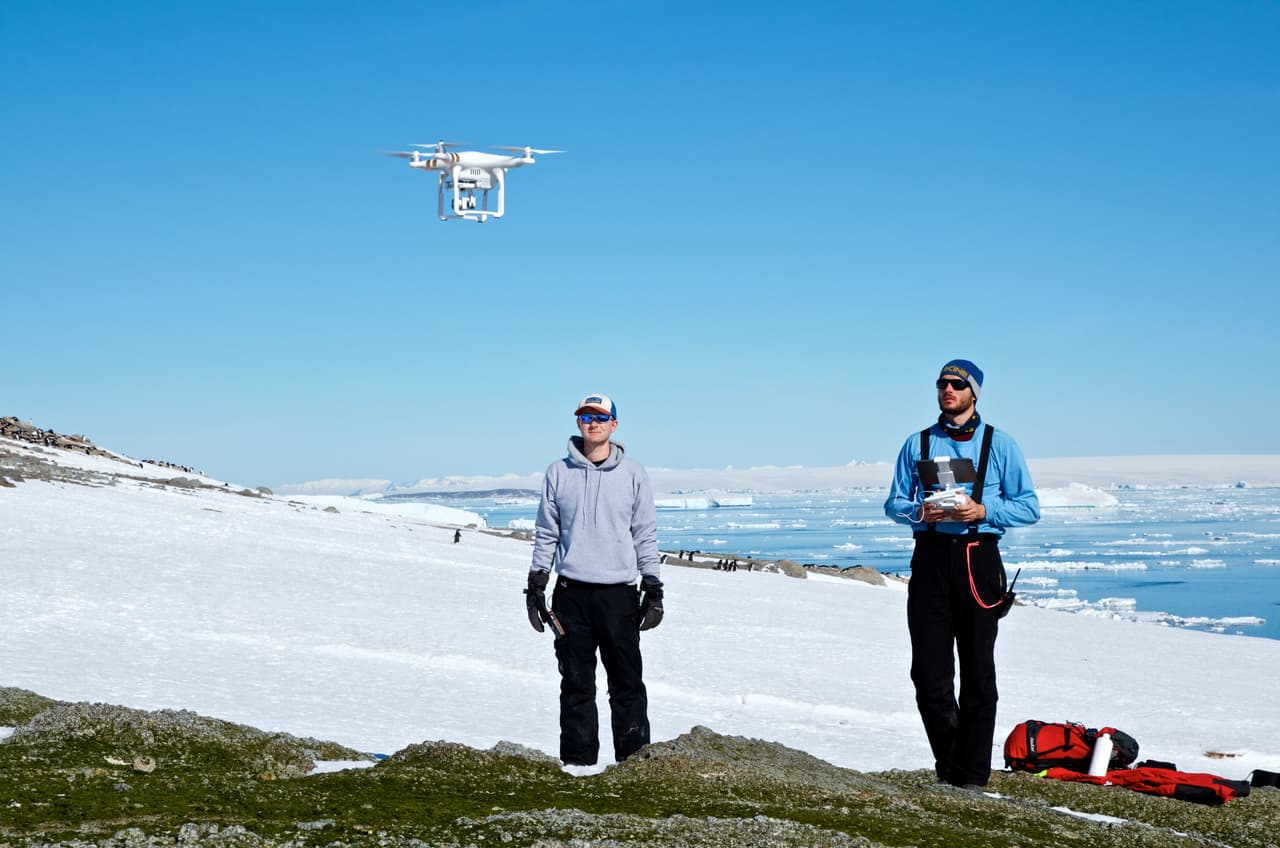 “El tamaño (de la colonia) que vimos en las imágenes satelitales nos dejó sin aliento. Pensamos: 'si lo que estamos viendo es cierto, esta será una las colonias de pingüinos Adelia más grandes del planeta'. Valdría la pena enviar una expedición para contarlos correctamente”, dijo la profesora Heather Lynch, especialista en ecología de la Universidad Stony Brook de Nueva York, y codirectora de este trabajo.