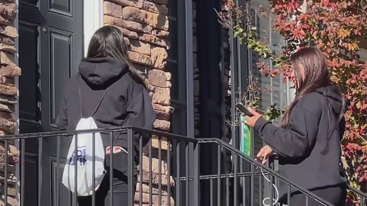 Voluntarios orientan a votantes en Georgia sobre lo que se define en estas elecciones