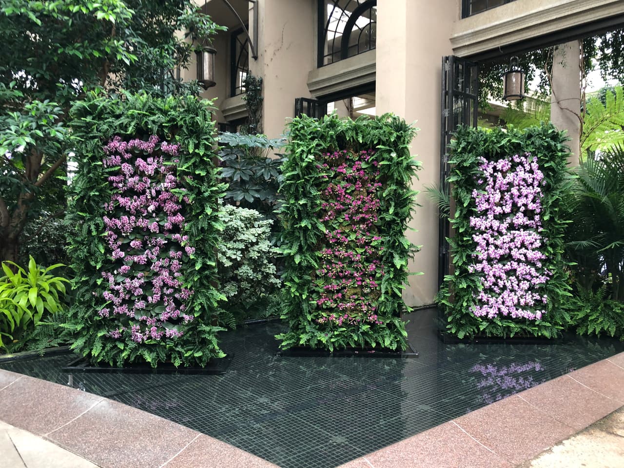 Las orquídeas tienen muchas asociaciones con valores simbólicos. Por ejemplo, la orquídea es la flor de la ciudad de Shaoxing, China.