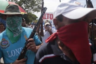 El documento hace especial mención a los casos de Guerrero y Michoacán.