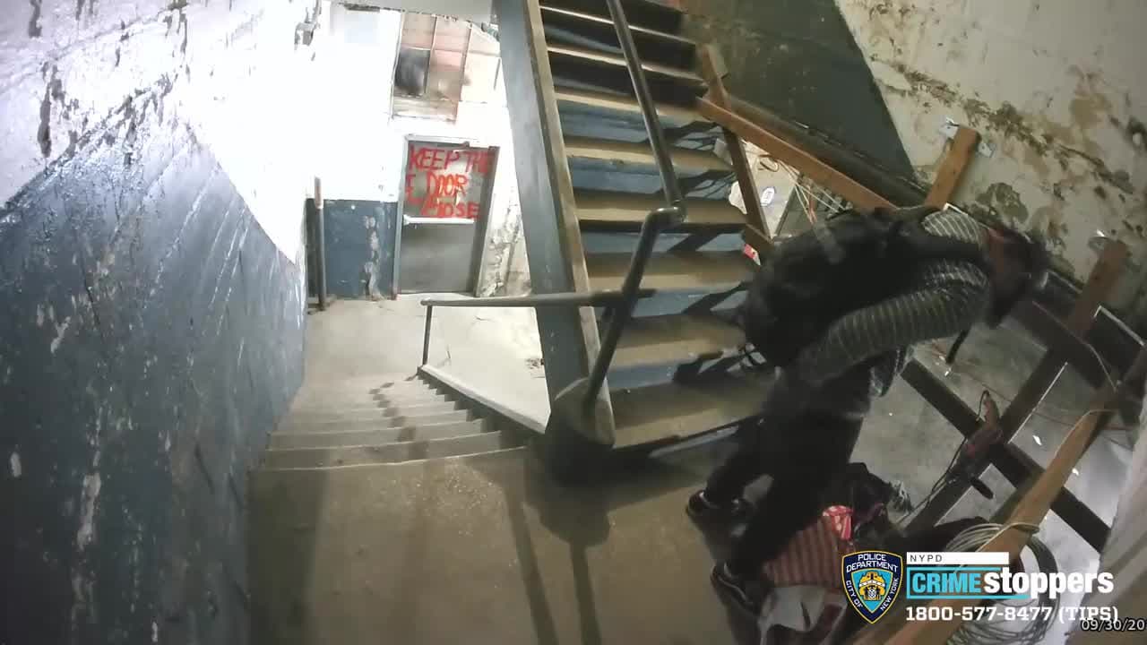 Ladrón serial de herramientas de construcción en Queens lleva más de 20,000 dólares en robos