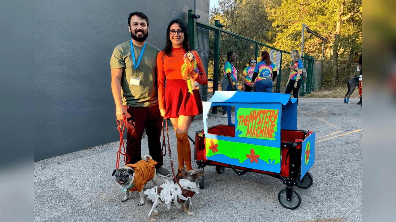 Misterio a la Orden, de Scooby Doo, con Vilma, Shaggy, Daphne y un monstruo.