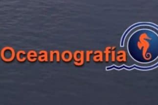 Grupo Alemán, propietario de Interjet, compra polémica empresa Oceanografía