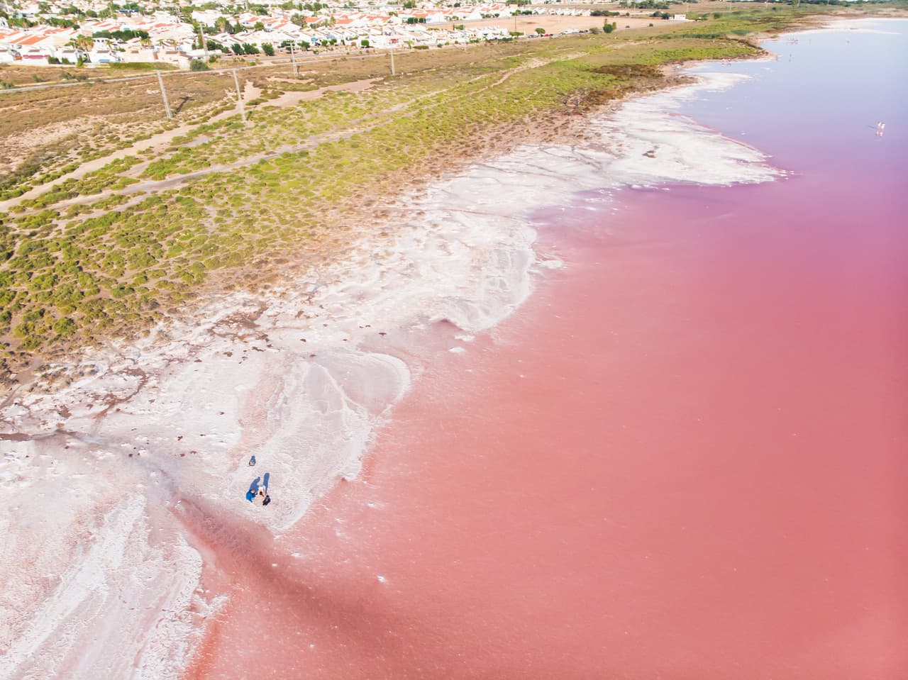 <b>Las salinas de Torrevieja, España</b>
<br>
<br>Este lago de agua salada en Alicante es uno de los más encantadores del mundo, gracias a las bacterias y algas que le dan ese peculiar tono rosa chicle. Su alta concentración de sal lo convierte en un lugar perfecto para flotar y también se puede usar su lodo para improvisar un tratamiento de spa.
<br>