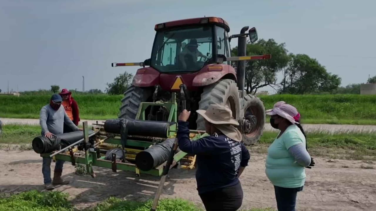 Campesinos denuncian aumento de redadas de ICE en Texas