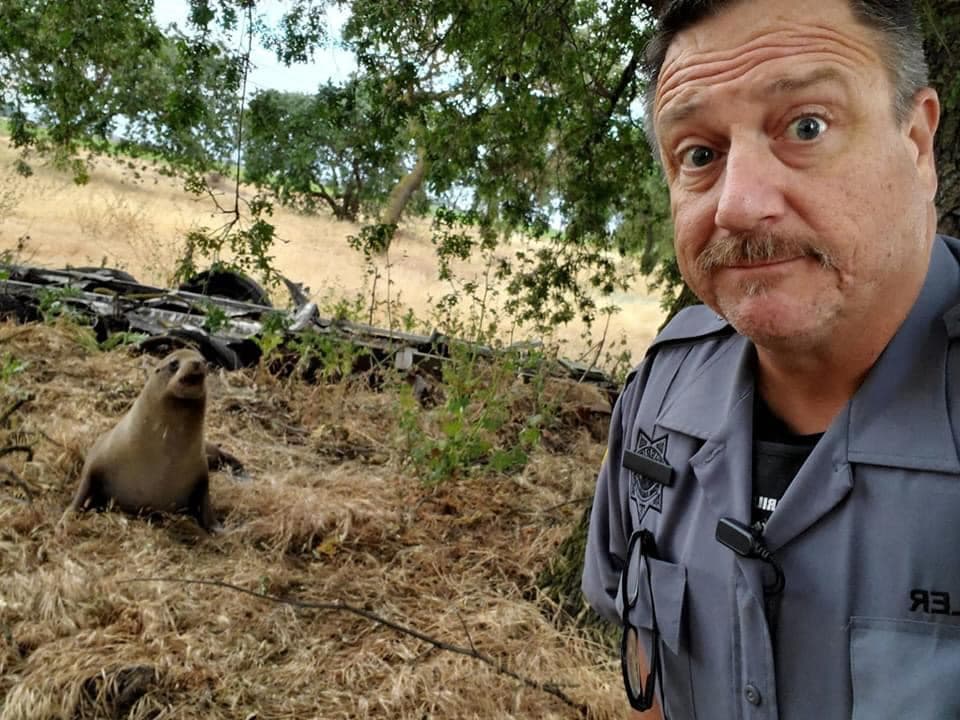 El oficial Wadler aprovechó un tiempo para sacarse un selfie con el le´on marino, que fue nombrado Gilligan.