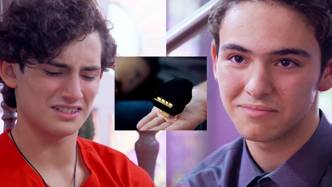 Los ArisTemo sellaron su amor con una promesa a través de un anillo; aunque de inicio Aris pensó que Temo le haría una propuesta de matrimonio, la sortija significaba el amor interminable que se tenían.