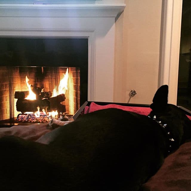 Es su compañera y con ella pasa la mayor parte de su tiempo.