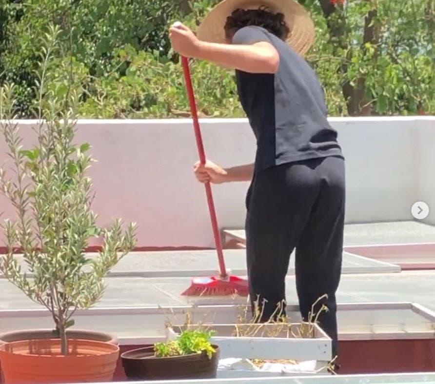 "¡Ya me dio permiso mi niño!
<b> <a href="https://www.univision.com/famosos/lety-calderon-rapa-a-luciano-y-se-queda-sin-palabras-con-la-inesperada-manera-en-que-su-hijo-se-despide-video" target="_blank">Les he enseñado lo mismo</a></b> a los dos", escribió Calderón, dando a entender que no había documentado las labores de Carlo por falta de aprobación de él.
<br>