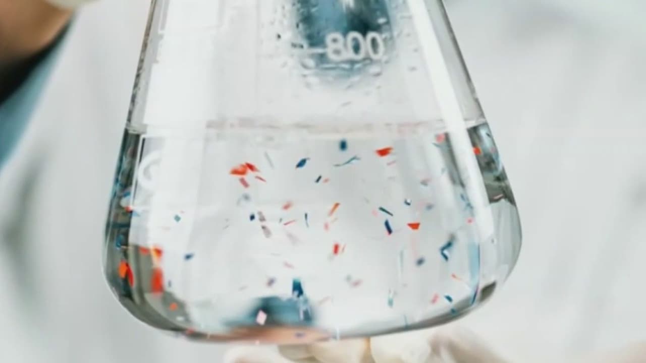 Video: ¿En qué partes del cuerpo se acumularían los microplásticos que consumimos?