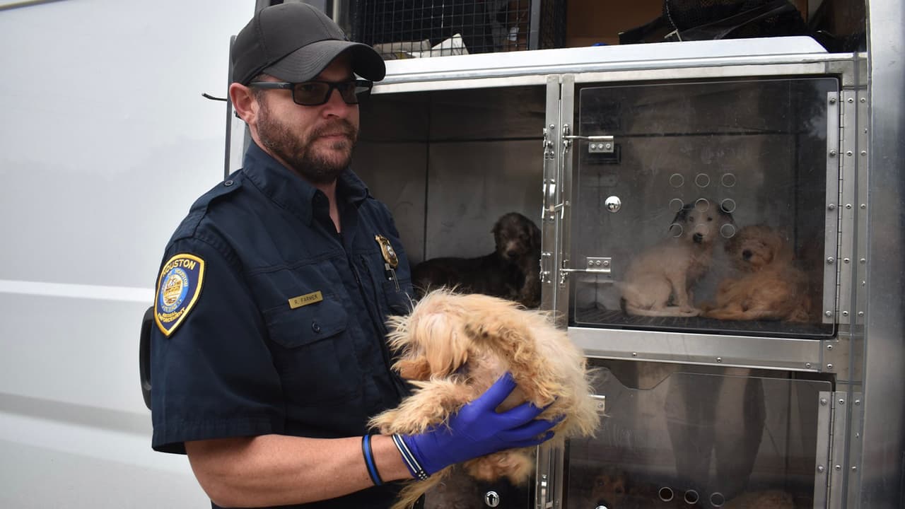 Cuando las autoridades fueron a auxiliar a la mujer, se encontraron los 24 animales.