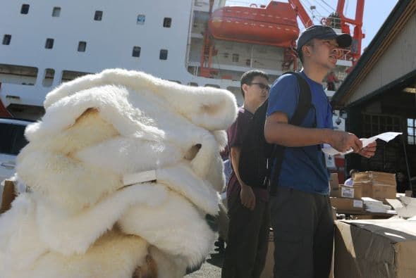 Las autoridades australianas indicaron que la búsqueda con radares del avión malasio desaparecido el pasado 8 de marzo con 239 personas a bordo ha sido infructuosa y replantearon una "estrategia visual" para localizar los posibles restos del aparato en el océano Índico. Dos aeronaves con "observadores entrenados" asomados a las ventanillas rastrean una zona de la extensión de la península Ibérica al suroeste de Australia, mientras otras dos se encuentran en camino para peinar la región donde ayer fueron detectados en unas imágenes de satélite dos objetos que podrían pertenecer a la aeronave. Un avión P3 Orion de las Fuerzas Aéreas australianas regresó este viernes a su base después de sobrevolar sin resultados positivos el lugar, señaló Young. Tony Abbott, declaró que harán "todo lo posible" para encontrar y confirmar si los restos pertenecen al vuelo MH370. "Ahora mismo podrían ser unos contenedores que han caído de un barco, nosotros no sabemos", advirtió Abbott.