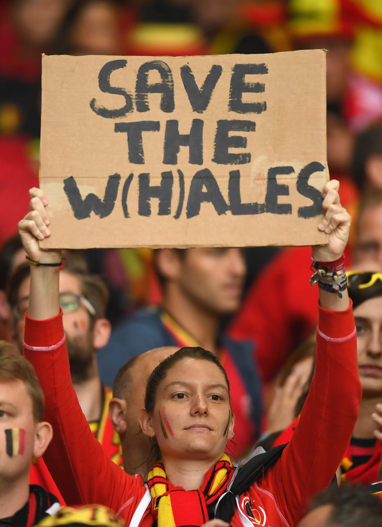 Los fans de Bélgica y Gales desbordaron la pasión en el Estadio de Lille durante los cuartos de final de la Eurocopa. Checa la vibra que lanzaron a sus equipos.