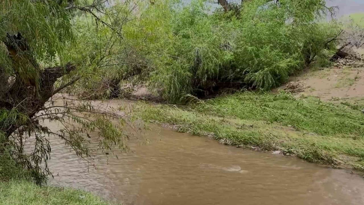 Rescatan a uno de los dos cuerpos que estaban flotando en el río Santa Cruz en Río Rico