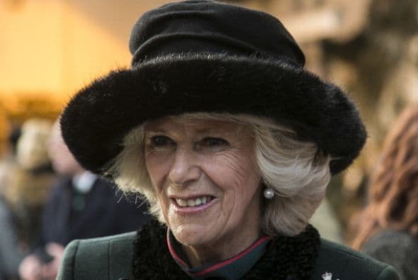 De acuerdo con 
<b><a href="https://www.dailymail.co.uk/news/article-7244703/Camillas-helicopter-swerve-avoid-collisions-TWICE-one-hour-flew-home.html" target="_blank">Daily Mail</a></b>, que cita un 
<b><a href="https://www.airproxboard.org.uk/uploadedFiles/Content/Standard_content/Airprox_report_files/2018/Airprox%20Report%202018185.pdf" target="_blank">reporte de la Junta Airprox del Reino Unido</a></b> (encargada de evaluar situaciones de peligro de colisión entre aeronaves), el helicóptero de Camila estuvo cerca de sufrir dos colisiones con otras aeronaves que fueron evitadas gracias a maniobras de evasión del piloto.