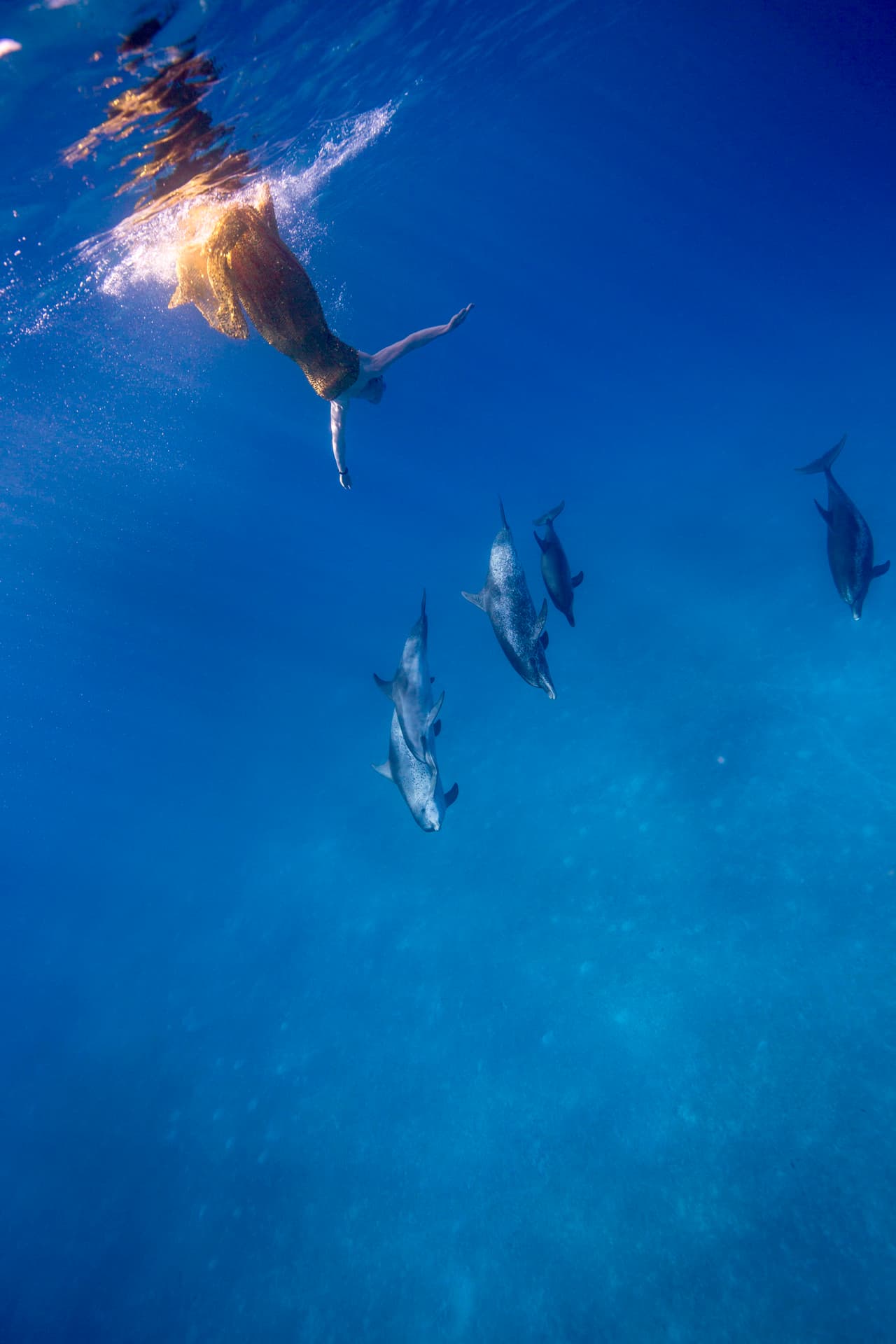 Sin embargo, la experta lo puede lograr tras arduos años de investigación y acercamiento.