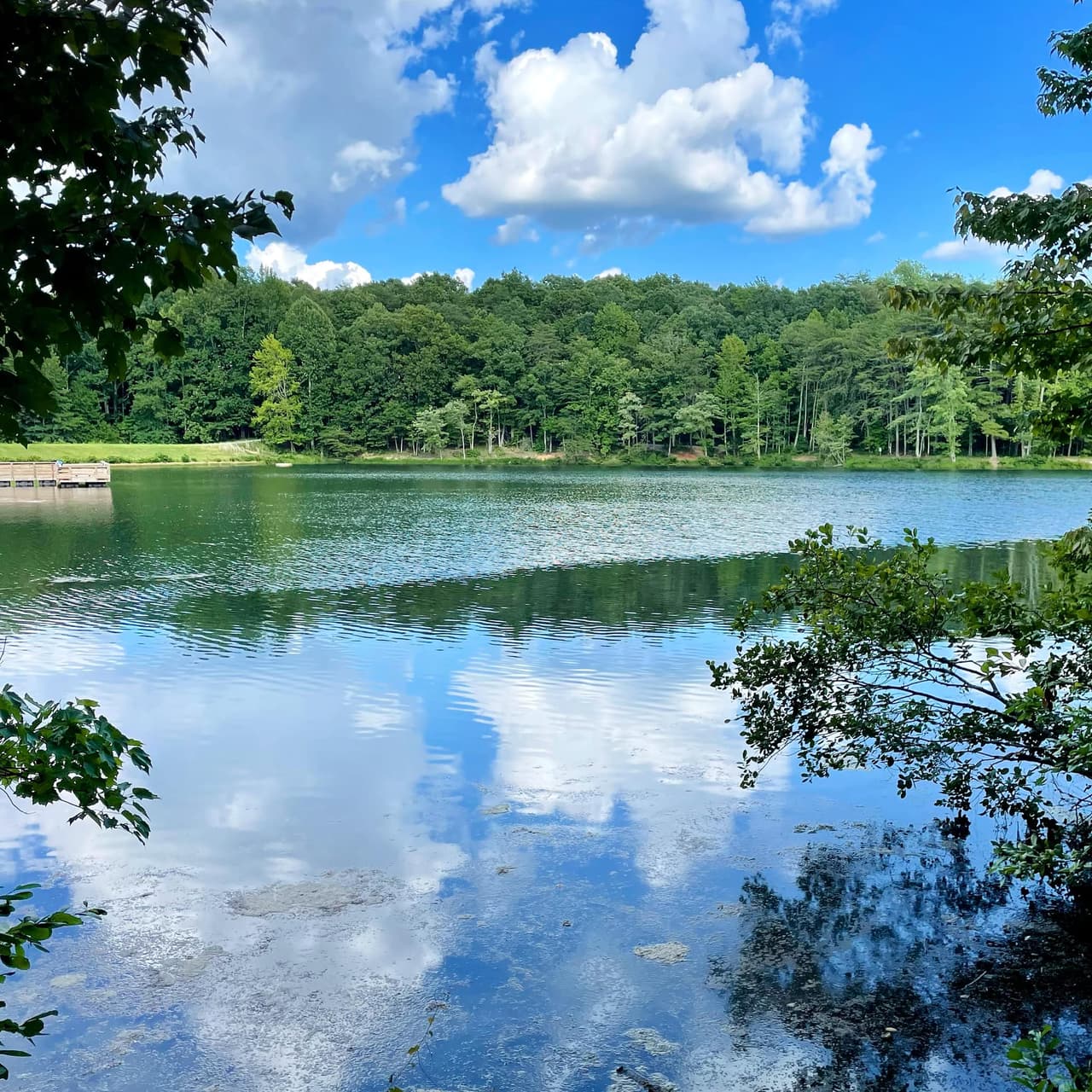 El parque también cuenta con un campamento para quienes deseen quedarse en sus instalaciones.
