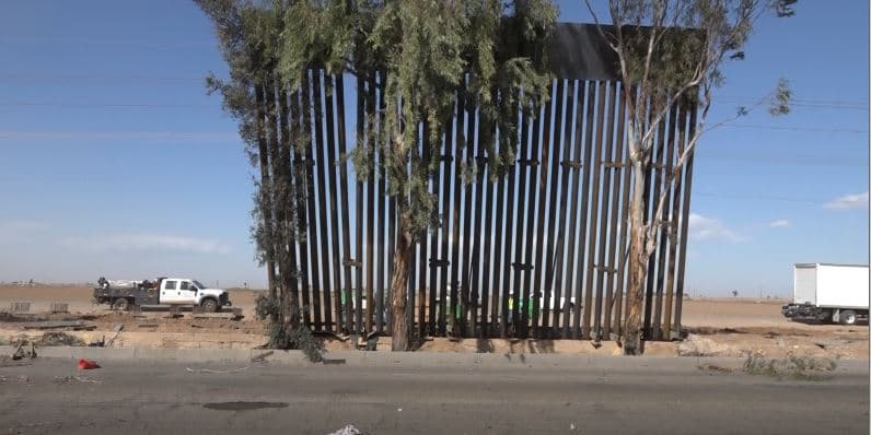 Una valla metálica fue contenida por árboles en la frontera de Caléxico, California y Mexicali, Baja California.