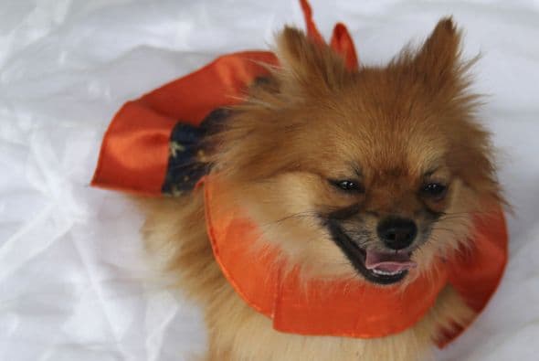 Los atuendos los puedes utilizar en más de una ocasión, son fáciles de poner y de guardar.