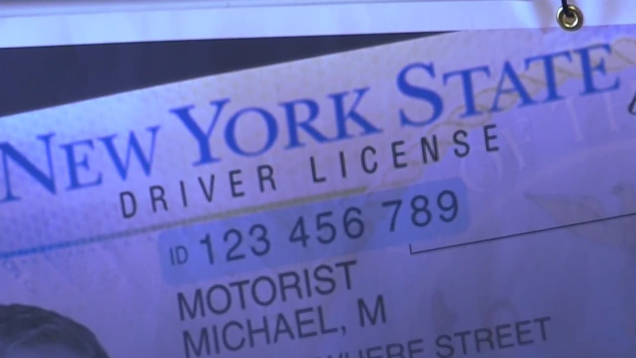 Licencias de conducir para indocumentados en Nueva York estancadas en el senado por oposición de republicanos 